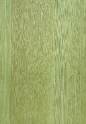 ModernWood Texture
