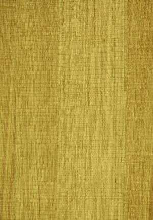 ModernWood Texture