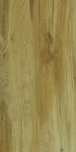 ModernWood Texture