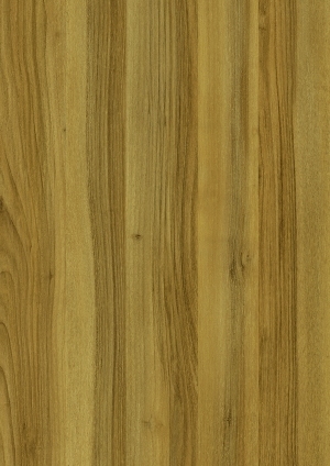 ModernWood Texture