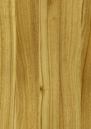ModernWood Texture