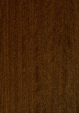 ModernWood Texture