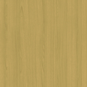 ModernWood Texture
