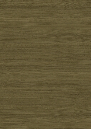 ModernWood Texture