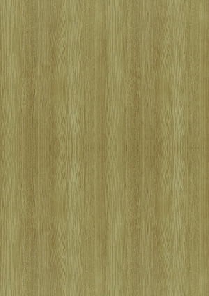 ModernWood Texture
