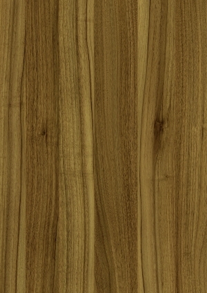 ModernWood Texture