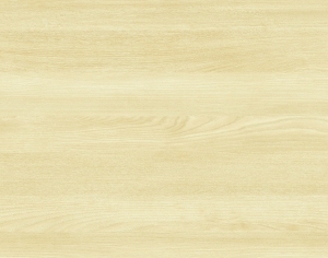 ModernWood Texture
