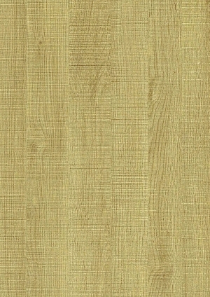 ModernWood Texture