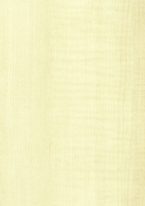 现代木纹-ID:665982014