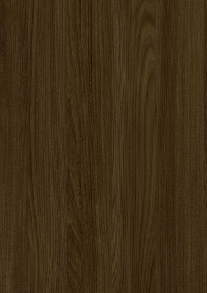ModernWood Texture
