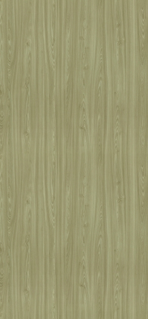 ModernWood Texture