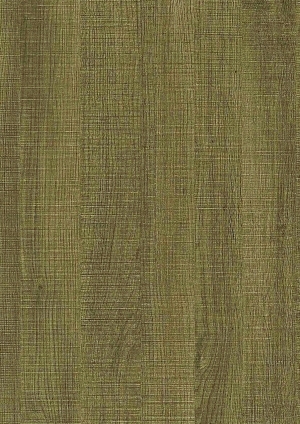 ModernWood Texture