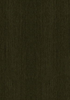 ModernWood Texture