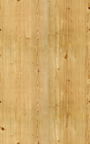ModernWood Texture