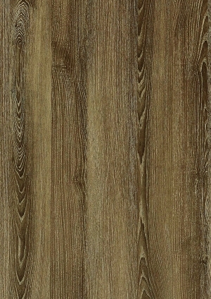 ModernWood Texture