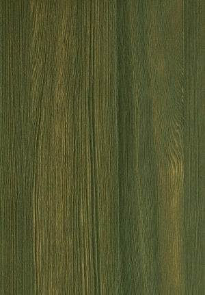 ModernWood Texture