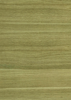 ModernWood Texture