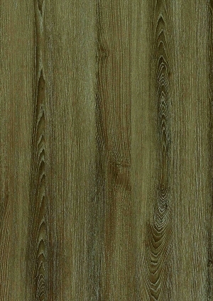 ModernWood Texture