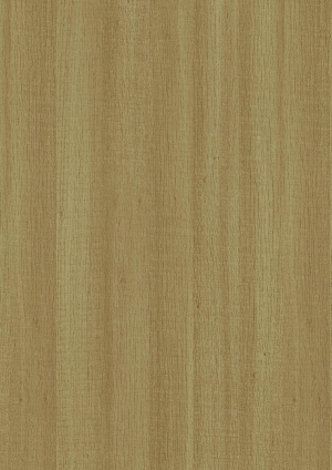 ModernWood Texture