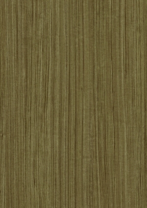 ModernWood Texture
