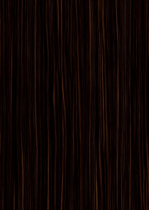 ModernWood Texture