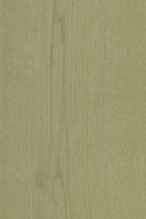 ModernWood Texture