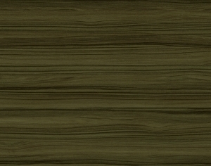 ModernWood Texture