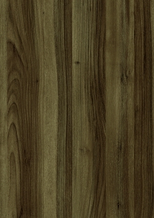 ModernWood Texture