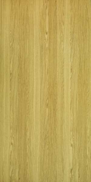ModernWood Texture