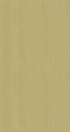 ModernWood Texture