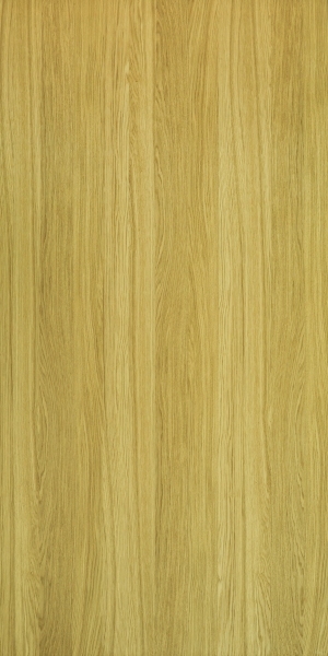 ModernWood Texture