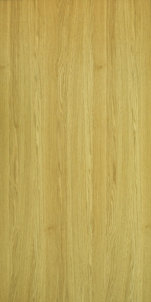 ModernWood Texture