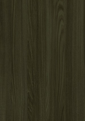 ModernWood Texture