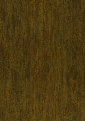 ModernWood Texture