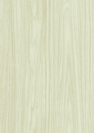 ModernWood Texture