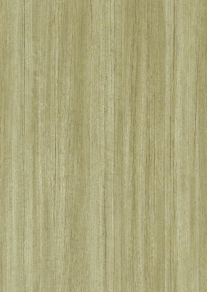 现代木纹-ID:131880048