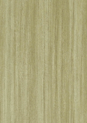 ModernWood Texture