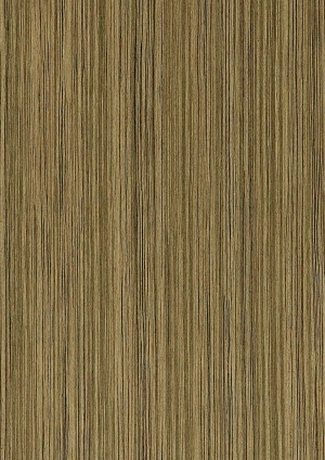 ModernWood Texture