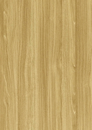 ModernWood Texture
