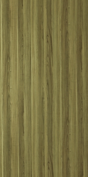 ModernWood Texture