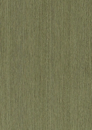 ModernWood Texture