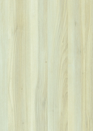 ModernWood Texture