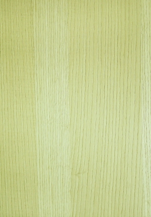 ModernWood Texture