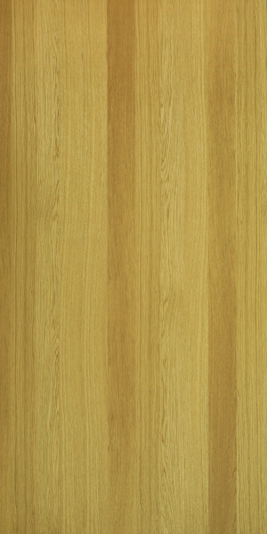 ModernWood Texture