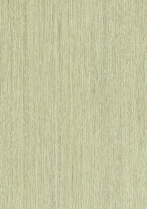 ModernWood Texture