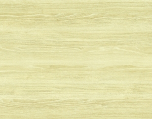ModernWood Texture