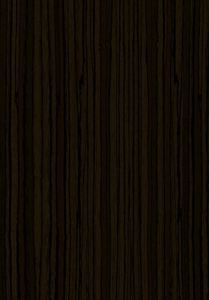 ModernWood Texture