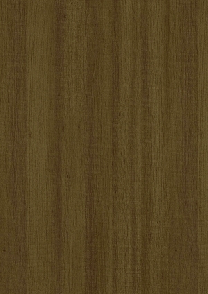 ModernWood Texture