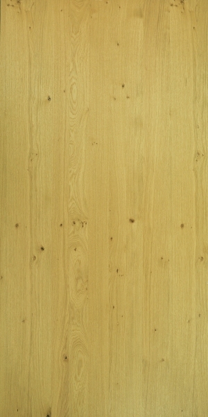 ModernWood Texture