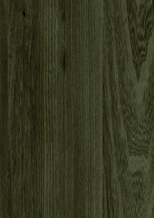ModernWood Texture